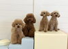 くまくん☆仁姜くん☆ナリちゃん☆Ｍこなつちゃん「ましゅまろ幼稚園🐾」