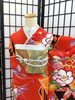 「ふりそでsanQ高砂店👘レトロ牡丹🪷古典柄お振袖✨春休みはふりそで探しに🌸【東京都葛飾区限定！成人式の豪華振袖フルセットレンタル店】」
