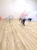 わーい「ましゅまろ幼稚園」