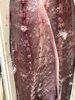 サバきずしに片面。アニサキス食中毒には注意。「タコ今旬ですね。生タコ挑戦してお安く調理。」