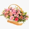 Fresh basket-フレッシュバスケット-