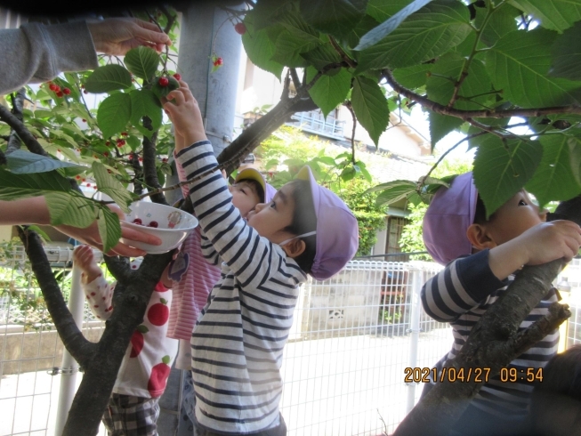 「【速報】３歳児（1号認定）さん空きがあります！　松山市の幼保連携型　認定こども園　 立花こども園♪」