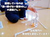 「女性専用グループレッスン。ゆるふわボディ開発部！身体の作りを知って、日々の生活に取り入れられるセルフケアを学ぼう！」