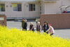 途中では菜の花も眺めながら「花見をしました。」