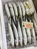 「魚魚市場鮮魚コーナーおすすめは「イサキ」です♪」