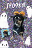 「Dog salon mofu mofu　余市町」