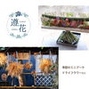 遵花「秋の感謝祭　出店者紹介！　vol.2」