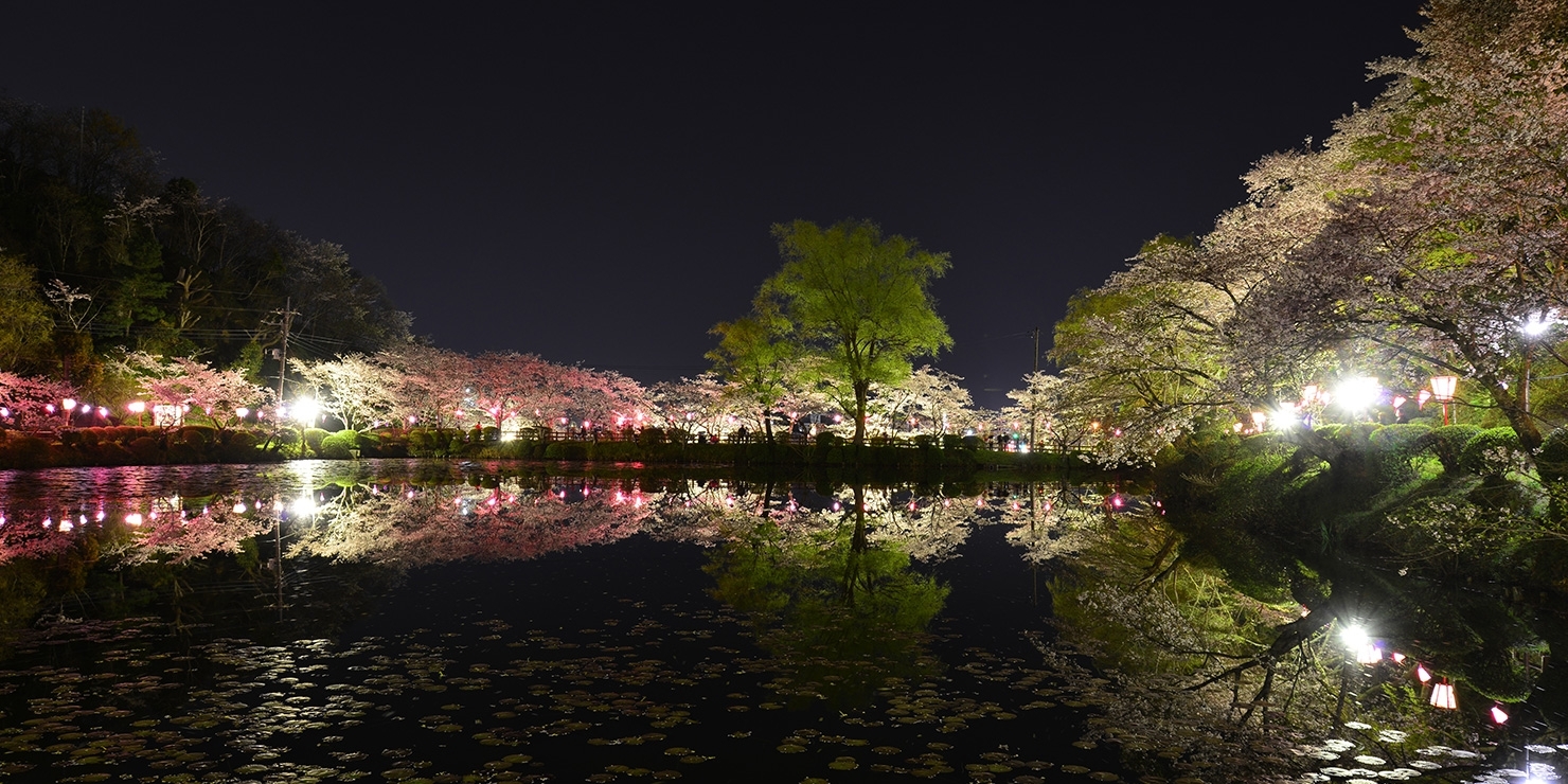茂原お花見ガイド17 茂原市 長生郡 おでかけ観光情報 まいぷれ 茂原市 長生郡 茂原お花見ガイド17 茂原市 長生郡 おでかけ観光情報 まいぷれ 茂原市 長生郡