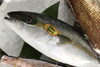 「魚魚市場鮮魚コーナーおすすめは「天然鯛・天然ヒラス」です♪」