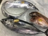「魚魚市場鮮魚コーナーおすすめは「水イカ・カナトフグ」です♪」