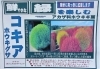 人気のコキア ほうき草 入荷致しました ホームセンタームサシ長井店のニュース まいぷれ 長井 西置賜