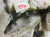 「魚魚市場鮮魚コーナーおすすめは「ハコエビ」入荷しました！」