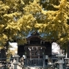 ■紅葉スポット■　横浜市磯子区【八幡橋神社】