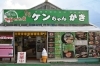ケンちゃんかき（船越漁港）