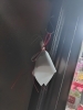 「【泉佐野市、貝塚市、熊取町、日根野】でお住まいの方でアジサイのおまじないを知りたい方、アジサイが欲しい方にオススメの花屋りっちゅ情報」