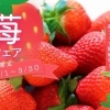 開催日：3/1(日) ～ 3/30(月) ：積水ハウス株式会社 愛媛支店 ホービス新居浜