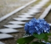 法界寺 ⓒナルサン「法界寺【 やっぱり京都、そして伏見】～ vol. 13～  Of course We’re going to Kyoto and Fushimi. ～」