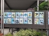 「今月の展示」