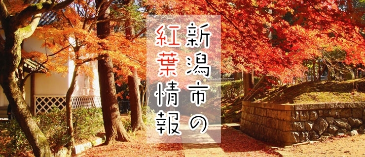 新潟市の紅葉スポット 新潟市のおでかけ情報まとめ まいぷれ 新潟市 新潟市の紅葉スポット 新潟市のおでかけ情報まとめ まいぷれ 新潟市