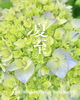 「6/21(金) 小樽」