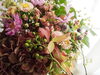 秋のブーケ作り 秋色紫陽花 Color のニュース まいぷれ 東村山市 小平市 東大和市