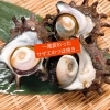 本日のおすすめ一風変わったサザエのつぼ焼き 船橋 和食屋 健美食かがりび 個室有 健美食 燎 Kagaribi かがりびのニュース まいぷれ 船橋市