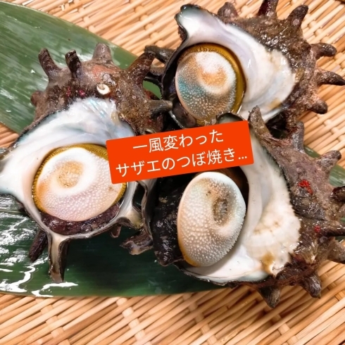 本日のおすすめ一風変わったサザエのつぼ焼き 船橋 和食屋 健美食かがりび 個室有 健美食 燎 Kagaribi かがりびのニュース まいぷれ 船橋市 本日のおすすめ一風変わったサザエのつぼ焼き 船橋 和食屋 健美食かがりび 個室有 健美食 燎 Kagaribi かがりびのニュース まいぷれ 船橋市