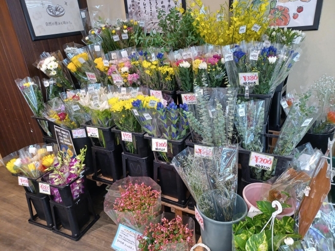 充実⭐お花コーナー⭐求めてるお花きっと見つかる‼️「秋彼岸⭐おはぎ⭐お彼岸団子⭐お花たくさん入荷⭐お買い得‼️大府市/野菜直売」