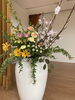 「入園おめでとうございます🌷︎」