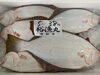 「本日鮮魚入荷致しました」
