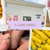 【泉佐野】I LABO OIMO