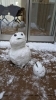 雪だるまが見つめる先には一体何が・・・「2/3・4 モデルハウスグランドオープン！」