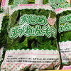 「岩手県産　「寒締めほうれん草」」