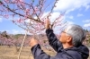 「【ふるさと納税】返礼品の取材で、草間の生産者さんに伺いました！」