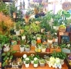 店頭特集コーナーの様子「【はなやHOK皆生店】父の日ギフトいかがでしょうか？」