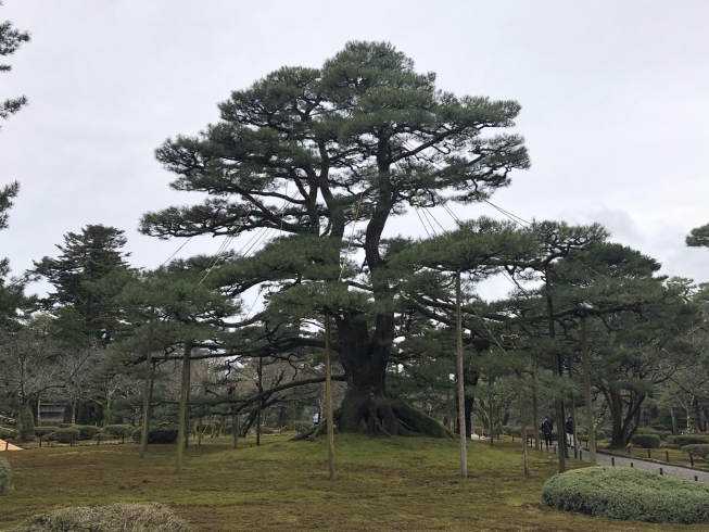 兼六園「金沢旅行」