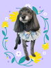 「Dog salon mofu mofu　余市町」