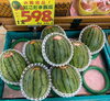 紅こだま西瓜　姫山笠「美味しくてころんとかわいい見た目の小玉スイカ🍉　枚方ビオルネ地下1階　新鮮果実 日野屋」