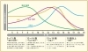 スキャモンの成長曲線（発育曲線）「運動不足のお子様。身体の硬いお子様必見！　　　　　　　お子様のパーソナルトレーニング。」