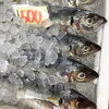 「魚魚市場鮮魚コーナーおすすめは「ノドグロ」です」