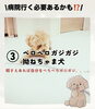 「ドッググッズショップ&サロンDanke 【愛犬のその問題行動〇〇で解決出来るかも⁉️】」