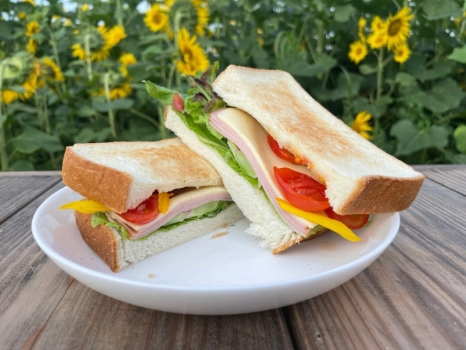 体験ランチのサンドイッチを切り分け例「夏野菜狩り＆体験ランチ90分!体験は重要な調味料です!」