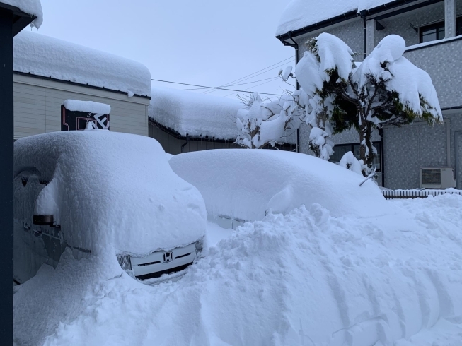 観測史上最多の積雪を記録した新潟市秋葉区！！「大雪で雪かき三昧の日々でした(笑)【新潟市秋葉区のリハビリ整体】」