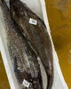 「本日鮮魚入荷してまーす」