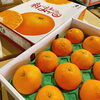 「愛媛県産「紅まどんな」の入荷が始まっていますよー！！」
