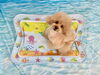 イハナちゃん「波とわんこ🌊」