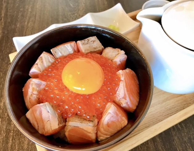 「炙りサーモン丼✨」