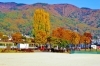 紅葉スポット】 下諏訪町 赤砂崎公園 | 紅葉特集【諏訪市・茅野市