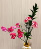「お花の定期便で暮らしに彩りを♪ 今週のお花をご紹介！」