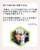 ご挨拶「【今週のお弁当のご紹介】」
